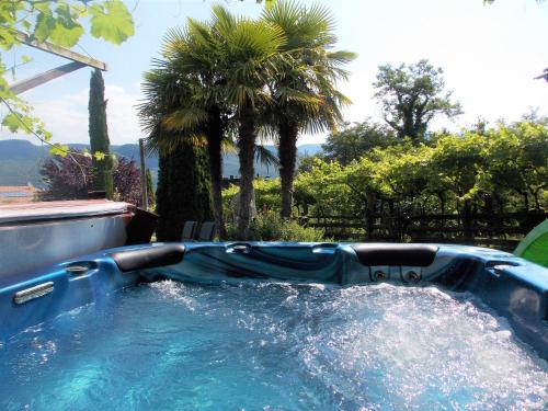 una gran piscina profunda en un patio con palmeras en St. Josefhof, en Caldaro