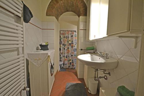 La petite salle de bains est pourvue d'un lavabo et d'une douche. dans l'établissement Casa Franci, à Cortone
