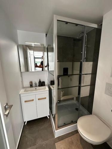 une salle de bain avec une douche, des toilettes et un lavabo dans l'établissement Très bel appartement, moderne, grande terrasse, à Antibes