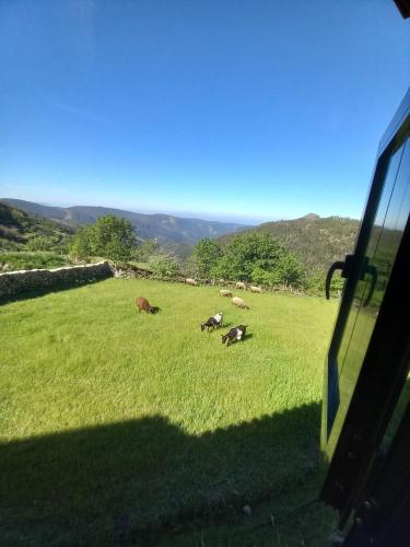 Gambar di galeri bagi Horizontes Serranos di Tondela