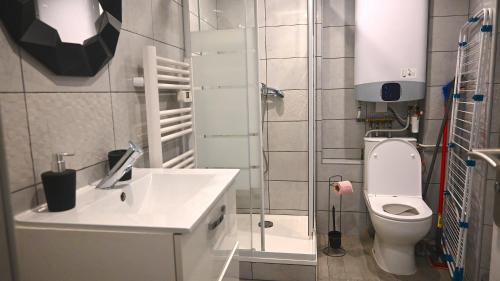La salle de bains est pourvue d'un lavabo blanc et de toilettes. dans l'établissement Studio/2 voyageurs/10mn CDG, à Villeneuve-sous-Dammartin