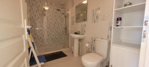 a bathroom with a toilet and a shower and a sink at Les fins bois in Gondeville