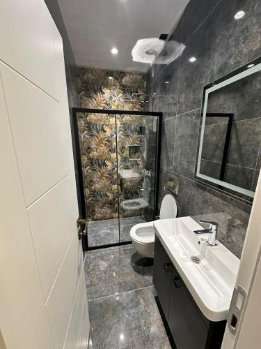 een badkamer met een toilet en een wastafel bij Hotel Flash Suite in Istanbul