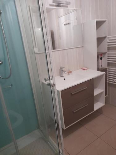 une salle de bain avec un lavabo et une douche dans l'établissement GÏTE MARIA, à Laruns