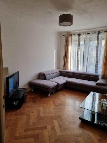 sala de estar con sofá y TV de pantalla plana en Joli appartement aux Eaux Vives en Ginebra