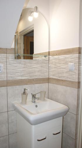 a bathroom with a sink and a mirror at Domek Pod Różą in Krasnobród