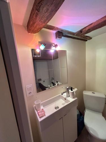 a bathroom with a toilet and a sink and a mirror at Cosy Jacobins in Langres