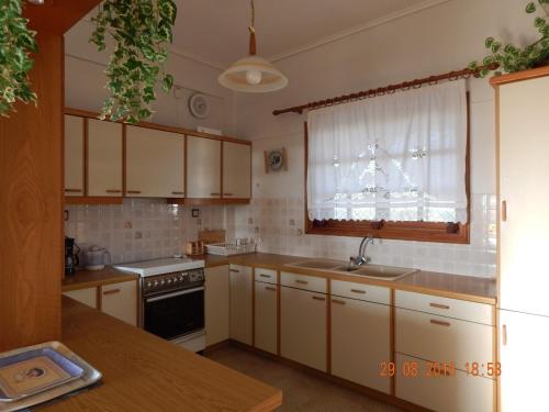 Кухня или мини-кухня в Family Villa Dora
