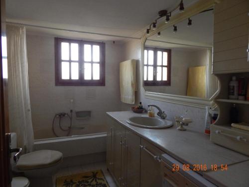 een badkamer met een wastafel, een toilet en een spiegel bij Family Villa Dora in Zakharo