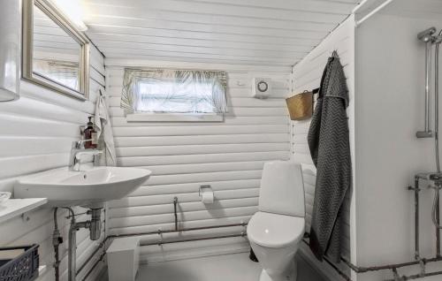 Awesome Home In Jgerspris With Kitchen في Jægerspris: حمام ابيض مع مرحاض ومغسلة
