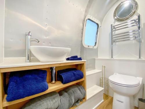 a bathroom with a sink and a toilet at Lanes End Farm Airstream in Hawthorn