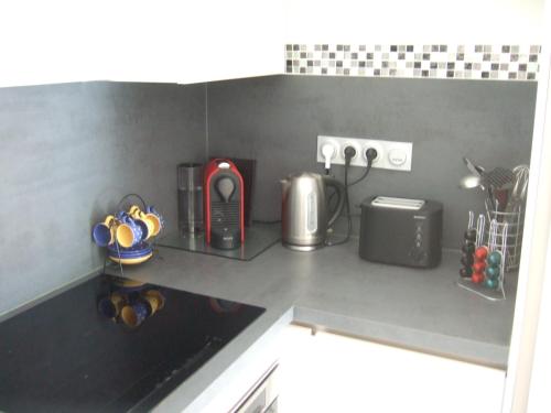 Il comprend une cuisine équipée d'un grille-pain. dans l'établissement Appartement CarcaLuxe, à Carcassonne