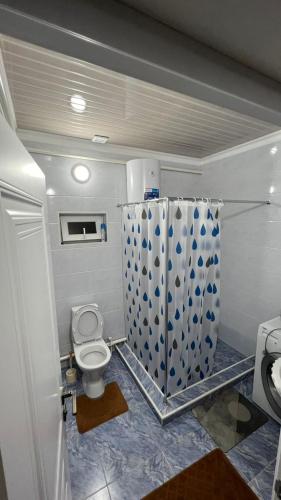 een badkamer met een toilet en een wastafel bij Avocado in Bisjkek