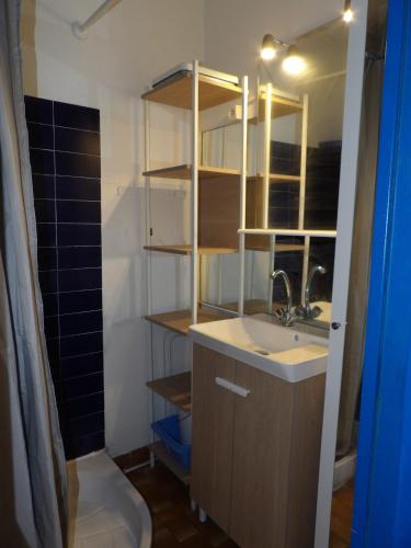 une salle de bain avec un lavabo et des toilettes dans l'établissement St cyprien appartement en residence avec piscine, à Saint-Cyprien