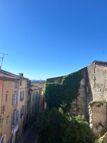 an alley with ivy on the side of a building at La Calada in Lorgues