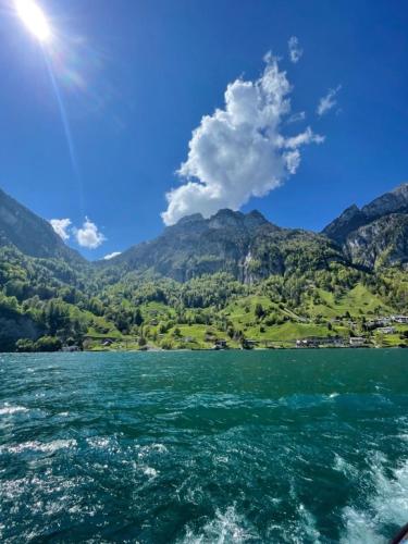 a view of a lake from a boat at LakeHill72 in Seelisberg
