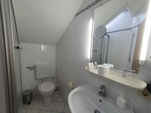 a bathroom with a sink and a toilet and a mirror at ABM Apartment 31 in Zwingenberg