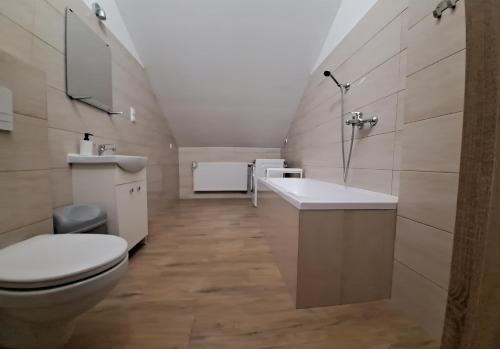 a bathroom with a toilet and a sink at Pokoje Izabela - Noclegi Graboszyce - Zator in Graboszyce