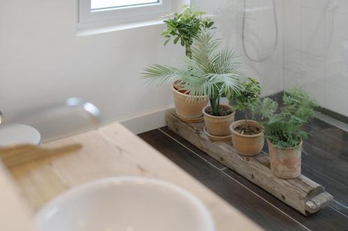 a bathroom with potted plants on a wooden tray at Ferienhaus am Künstleratelier in Riegel