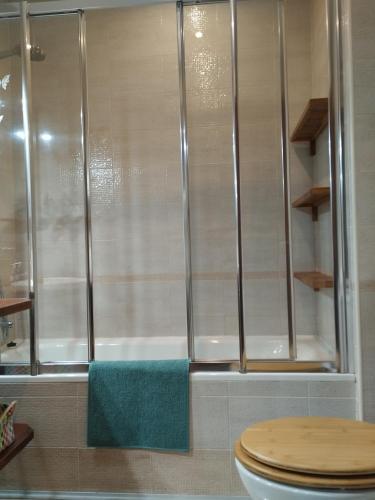 a shower with a toilet in a bathroom at Chalet con JARDIN PUY DU FOU a 10 min ,NO FIESTAS!! in Toledo