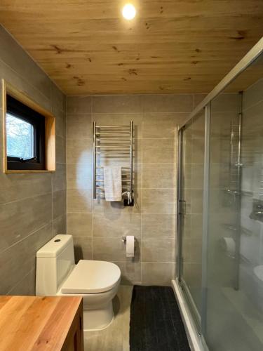 a bathroom with a toilet and a glass shower at AvA Refugios Malalcahuello in Malalcahuello