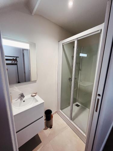 une salle de bain avec une douche en verre et un lavabo dans l'établissement ABBAYE DE BLANCHELANDE, à Neufmesnil