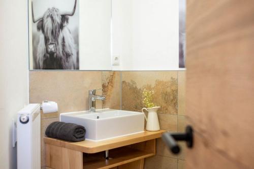 La salle de bains est pourvue d'un lavabo et d'une photo de cheval sur le mur. dans l'établissement Ferienwohnung Riesendoggy, à Pfronten
