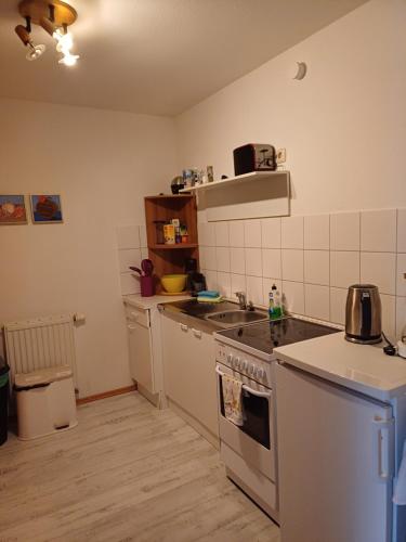 a kitchen with a sink and a stove top oven at Apartment Flughafen Leipzig in Hayna