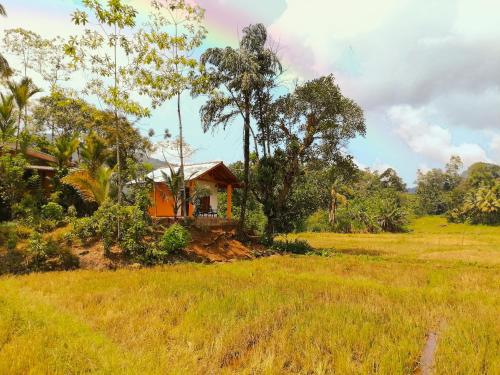 a small house on a hill in a field at Sinharaja Cabana in Matara