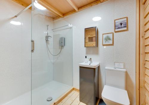 a bathroom with a shower and a toilet at Dog Crag Cabin in Silecroft