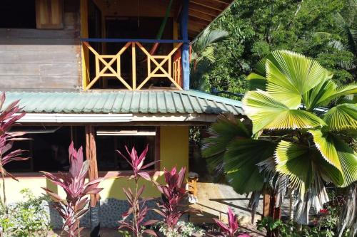Zahrada ubytování Casa’ Mapola : typical jungle beach house
