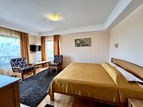 DrăguşにあるPensiunea Valceaua Zanelorのベッドとデスクが備わるホテルルームです。