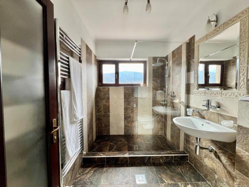 a bathroom with a sink and a mirror at Pensiunea Valceaua Zanelor in Drăguş