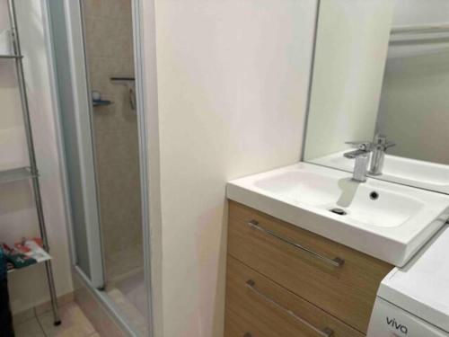 une salle de bain avec un lavabo blanc et une douche dans l'établissement Appartement T2 Agatha Christie, à Dinard