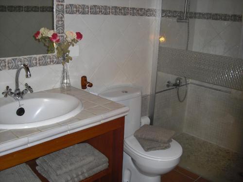 y baño con lavabo, aseo y ducha. en Your Island Finca El Picacho A, en Tegueste