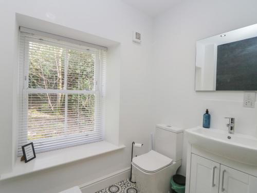 a white bathroom with a toilet and a window at Dalegarth Hall Farm Cottage 2 in Holmrook