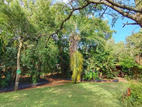 a palm tree in the middle of a yard at Shangrila-innibos Country Lodge in Hartbeespoort