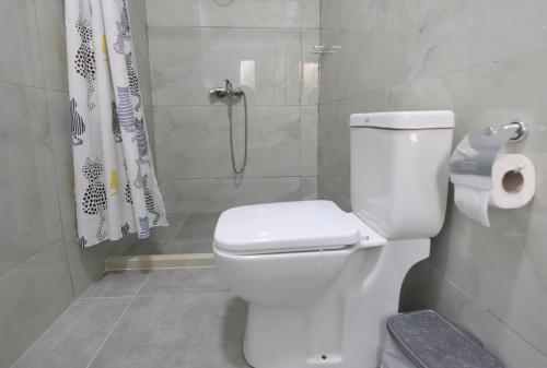 a bathroom with a toilet and a shower at Olive Oasis Studio in Berat