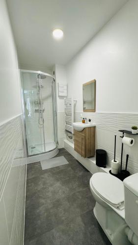 une salle de bain avec une douche, des toilettes et un lavabo dans l'établissement Nid Confort, à Clermont-Ferrand