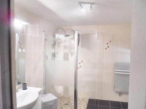 a bathroom with a shower and a toilet and a sink at Maison de 4 chambres avec jardin amenage a Castelnau de Mandailles in Castelnau-de-Mandailles