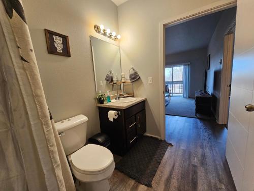 a bathroom with a toilet and a sink and a mirror at HUGE Apartment, 2 Bedroom, 2 Bathroom, Park Free in Rochester