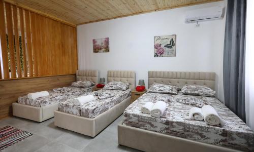 three beds in a room with white walls at Olive Oasis Studio in Berat