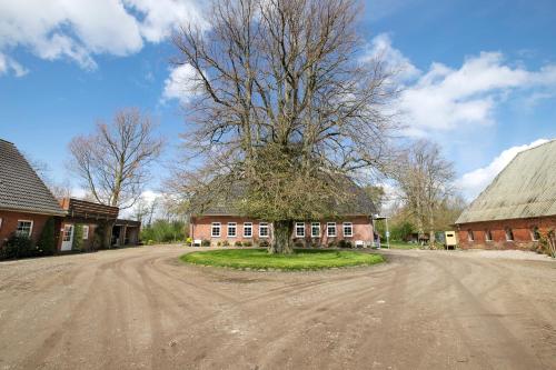 a tree sitting in the middle of a dirt road at Ferienwohnung Nico in Langballig