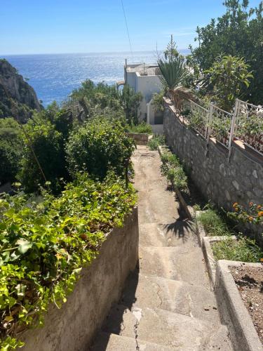 einen Weg, der zu einem Haus mit dem Ozean im Hintergrund führt in der Unterkunft Casa Capaianca in Capri