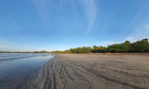 an empty beach with trees in the distance at Hermosa Bay Oceanview Villa in Boca Chica