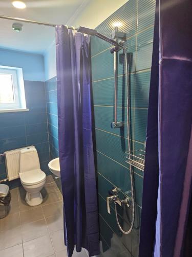 y baño azul con aseo y ducha. en Apartmenti , Kuldīgas iela 26 , Ventspils en Ventspils