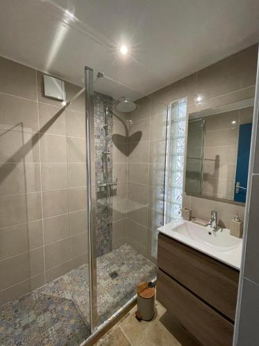 une salle de bain avec une douche, un lavabo et un miroir dans l'établissement La Poserie des Monts et Vallées, à Esson