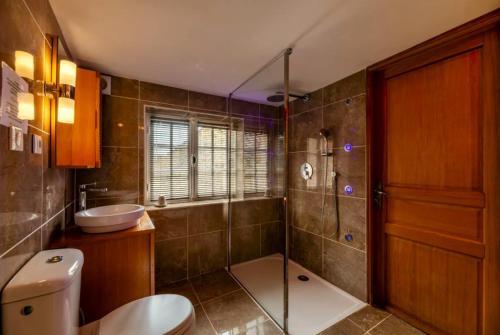 La salle de bains est pourvue de toilettes, d'un lavabo et d'une douche. dans l'établissement Le Coin Tranquille, à La Roque-Gageac