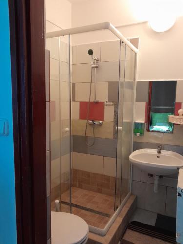 a bathroom with a shower and a toilet and a sink at Varázsfa Vendégház in Demjén