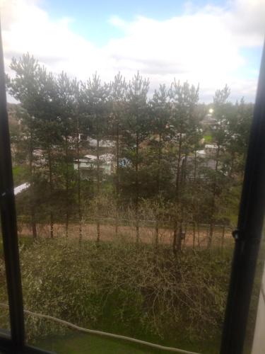 a view from a window of a field with trees at Buto nuama in Mažeikiai